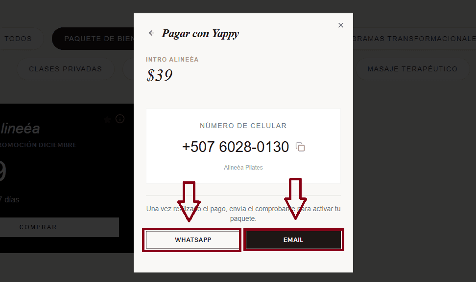 Paso 3: Pago y comprobante